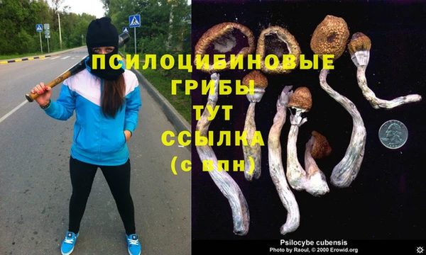 гидропоника Балахна