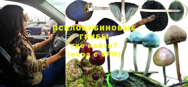 каннабис Баксан