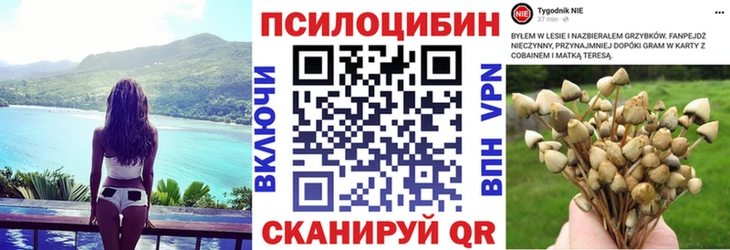 Псилоцибиновые грибы Cubensis Яхрома